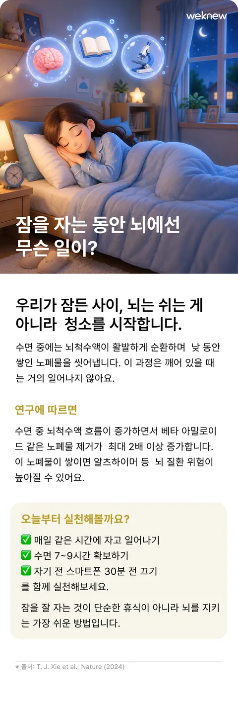 잠을 자는 동안 뇌에선 무슨 일이? — 수면 중 노폐물이 씻겨 나가는 과정을 설명하고, 취침 시간과 수면 시간 실천으로 이어갑니다