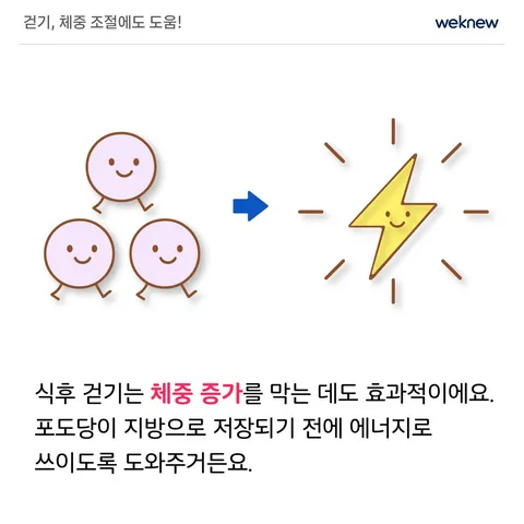 식후 걷기, 혈당 관리의 비밀 무기! 4장. 걷기, 체중 조절에도 도움!. 식후 걷기는 체중 증가를 막는 데도 효과적이에요. 포도당이 지방으로 저장되기 전에 에너지로 쓰이도록 도와주거든요.